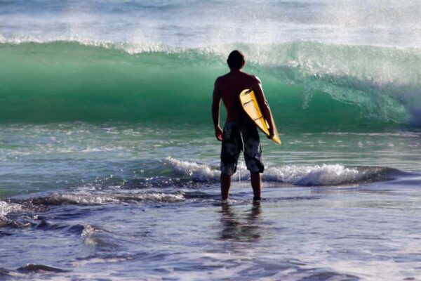 Bali Surfer