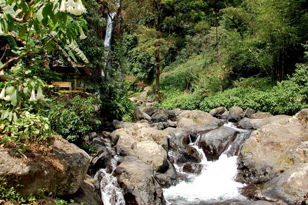 munduk-bali-nature-nice-chill-weather