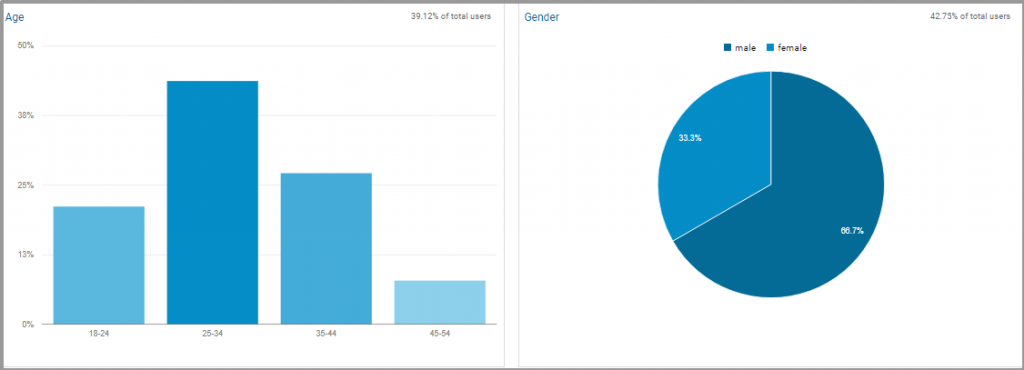 google analytics demographic segmentation